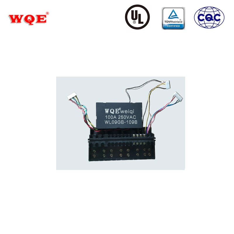 100A 250VAC Long Service Life Anti Vibration Compliant Magnetic Latching Relay Wl09GB 3A 3b Contact Form